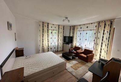 Casă de închiriat, 7 camere, 250 mp, Făget - 13