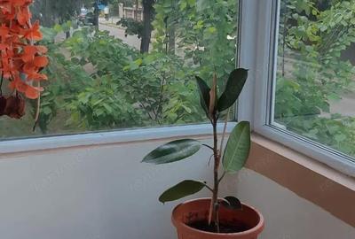 Apartament cu 2 camere nedecomandat în 7 Noiembrie - 9