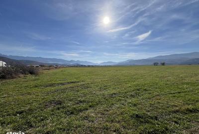 Teren de 28000 mp, în Central