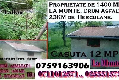 Proprietate la Munte. Teren 1300 MP., Cabana 11 MP. Drum Asfaltat. 20 KM de Herculane . - 3