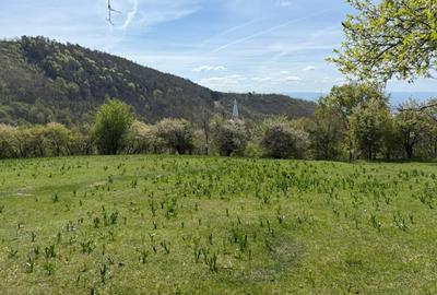 Teren Construcții intravilan de 8330 mp, în Inuri - 2