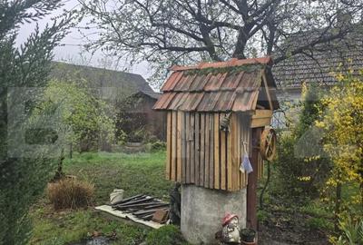 Casă cu 3 camere cu Teren 1427 Mp în Livada - 10