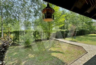 Cabana rustica de vis pe Valea Avrigului – un colt de rai in mijlocul naturii - 11