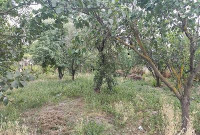 Casă cu 4 camere cu Teren 800 Mp în Licuriciu - 6