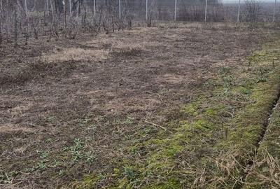 Teren de 1050 mp, în Valea Călugărească - 5