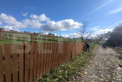 Cabana cu teren intravilan de 10 ari situat in Sigmir - 2