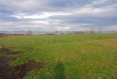 Teren de vanzare la iesire din Racovita - 2