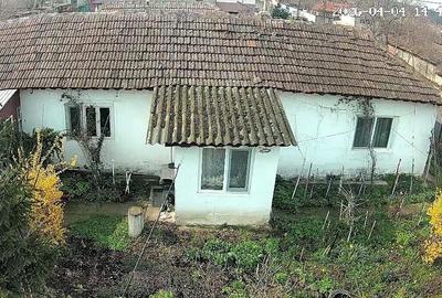 Casă cu Teren 2440 Mp în Peștera - 4