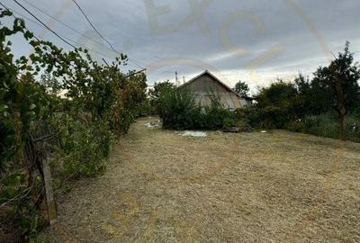 Casa traditionala Recea!!! - 8