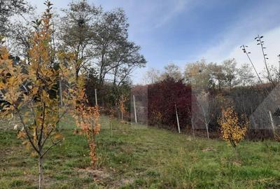 De vanzare casa individuala,135 mp utili, 1553 mp teren - 11