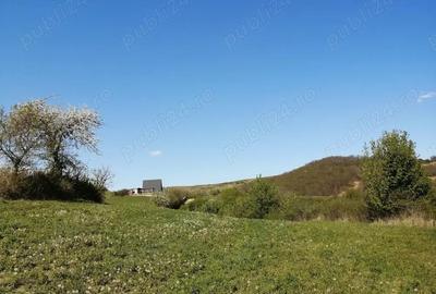 Teren de 4100 mp, în Ampoița
