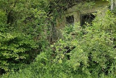 Casă individuală cu 2 camere cu Teren 5090 Mp în Vâlcele - 5