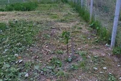 Spațiu comercial, în Stupinii Prejmerului - 3