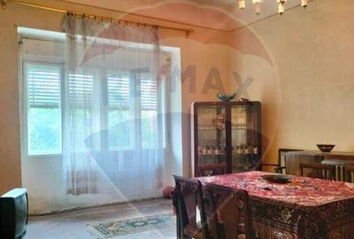 Casa istorica in zona centrala Ludus- Mures - 9