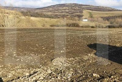 Teren de 12656 mp, în Borșa - 2