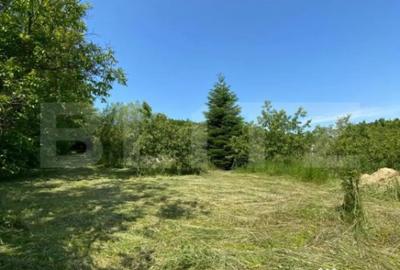 Teren de 3000 mp, în Central