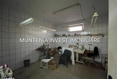 Spațiu comercial, de 1,669 mp, în Bascov - 10