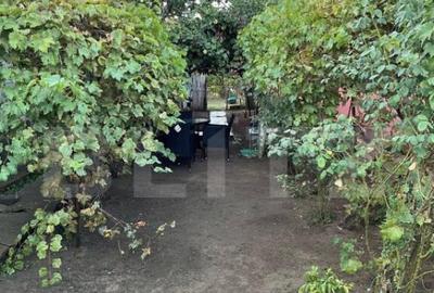 Casa batraneasca, locuibila, Podari, teren 1050 mp - 1