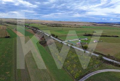 Teren extravilan  3.942 mp de vanzare – Talmaciu, jud. Sibiu - 4