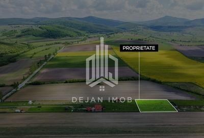 Teren agricol intravilan de 687 mp, în Aninoasa - 5