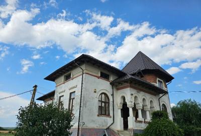 Casă cu 7 camere cu Teren 2800 Mp în Poienarii Burchii - 5