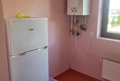 Apartament de inchiriat - 2 camere, etaj 1, in vila - Cartier Tilisca - 7
