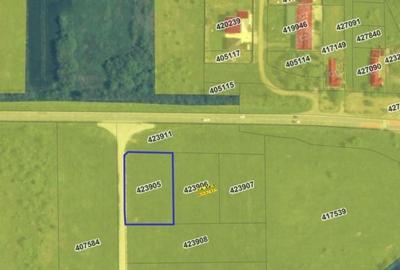 Vanzare | Teren industrial | 2385 MP | Apa Curent Canal | Mosnita Noua - 2