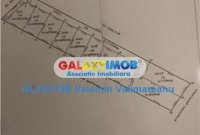 Teren Magurele intravilan VI 158 - 1