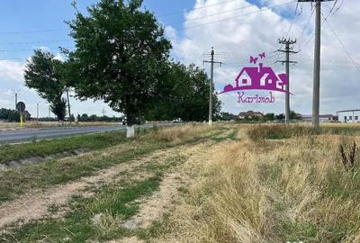 Teren de 28100 mp, în Gepiu - 5