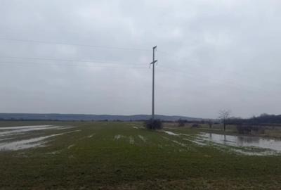 Teren de 5000 mp, în Brestei - 5