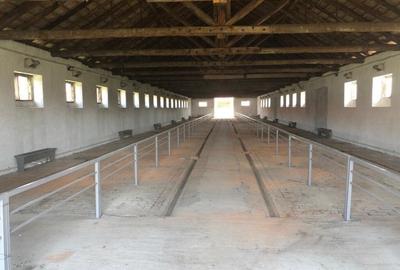 Teren de 301252 mp, în Biled - 12