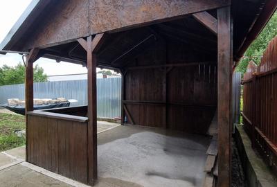 Casă individuală cu 3 camere cu Canalizare în Vânători - 10