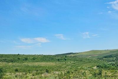 Teren agricol extravilan de 425000 mp, în Țaga