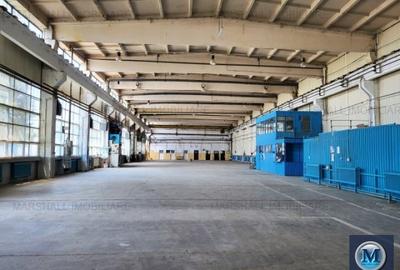 Spațiu industrial, de 1,633 mp, în Sud - 4