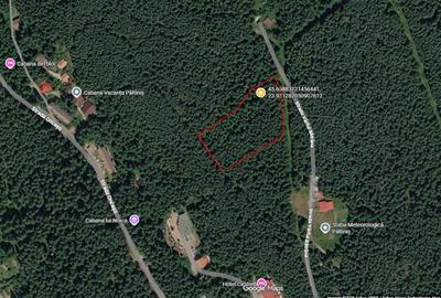Teren extravilan de 750 mp, în Central
