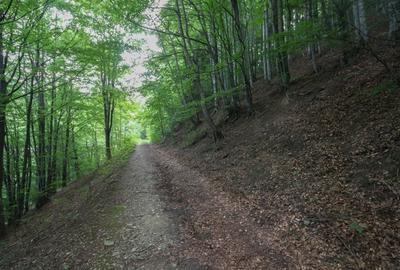 Teren Construcții intravilan de 299 mp, în Sinaia - 2