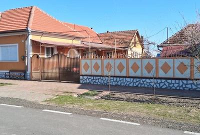 Casă cu 5 camere cu Teren 1440 Mp în Central