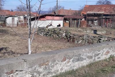 Teren de 1000 mp, în Brănișca - 2