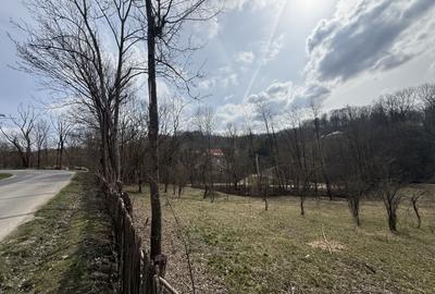 Teren Construcții intravilan de 2100 mp, în Provița de Jos - 4