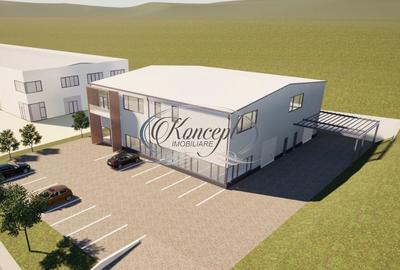 Teren industrial cu autorizatie hala, Valea Chintaului - 4