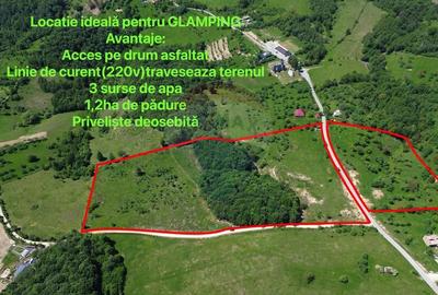 Teren agricol intravilan de 55600 mp, în Codru Butesii - 1