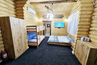 1140mp si cabana Obarsia Lotrului Transalplina 3km partia ski, TOATE UTILITATILE - 10