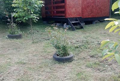 Casă cu 3 camere cu Teren 550 Mp în Șard - 5