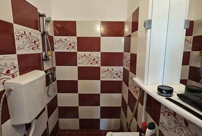 Apartament 1 Camera, Ultracentral Renovat Complet,ideal inchiriere ! - 3