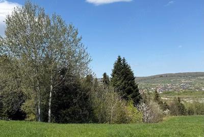 Teren de 2100 mp, în Putna - 4