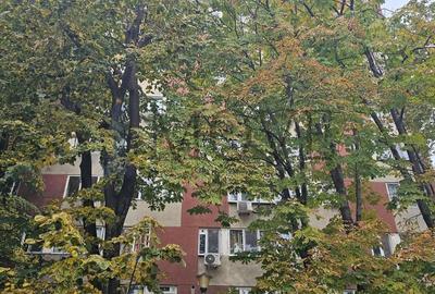 Garsoniera care te inspira sa incepi, 32 mp - METROU FAVORIT Garsoniera care te inspira sa incepi, 32 mp - METROU FAVORIT - 42