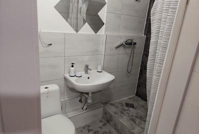Apartament cu o camera de inchiriat in zona Centrala - 5