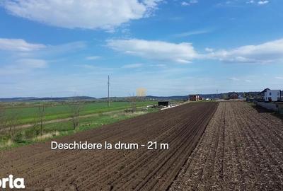Teren de 3498 mp, în Ipotești - 6