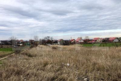 Teren Construcții intravilan de 3800 mp, în Nord-Est - 4