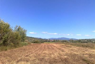 Sacalaseni la strada principala Teren intravilan 55 Ari